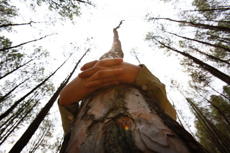 A Nepalese student hugs a tree during a mass tree hugging on the World Environment Day on the outskirts of Katmandu, Nepal, Thursday, June 5, 2014. More than 2,000 people gathered in Nepal's capital on Thursday in a bid to set a world record for the largest tree hug. (AP Photo/Niranjan Shrestha)