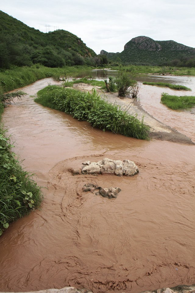 Mexican mining firm complains about probe of spill