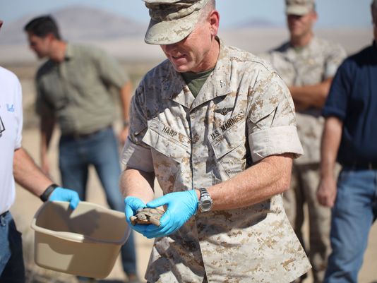 Col. James F. Harp, Marine Corps Air Ground Combat Center chief of staff, releases a tortoise. (Photo: Marine Corps)