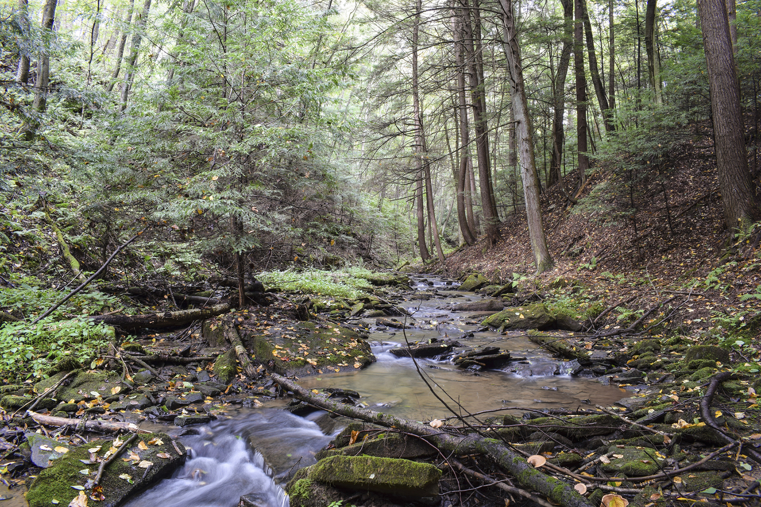 GOP report slams ‘politicized’ Clean Water rule