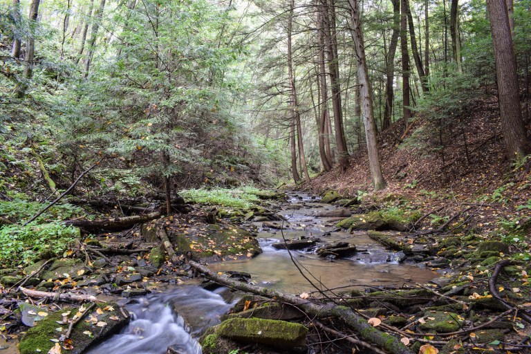 The report accused the EPA of rushing the Waters of the United States rule with an accelerated timeline that was motivated by politics, and said the EPA ignored scientific evidence that could have contradicted the need for more regulation. (iStock photo)