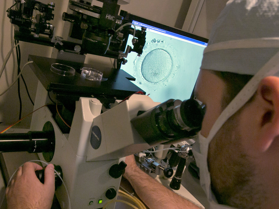 German researchers develop ‘cyborg sperm’ to treat infertility