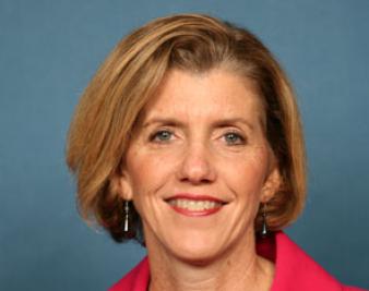 Kathy Dahlkemper: I Wouldn’t Have Voted for Obamacare If I’d Known About HHS Rule