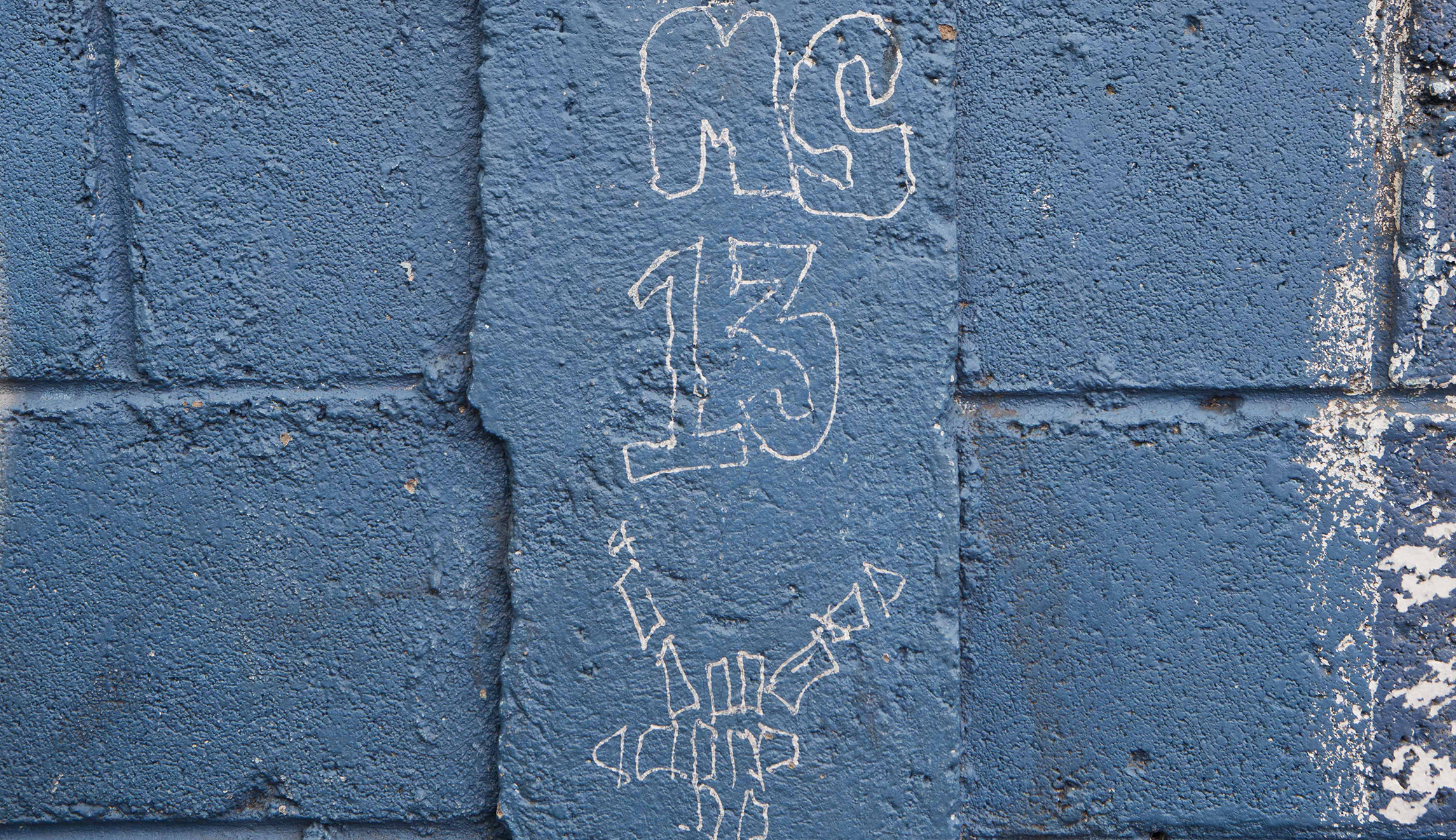 House votes to deport illegal immigrant gang members over Democratic objections