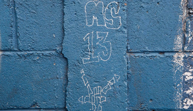 The Criminal Alien Gang Member Removal Act passed in a 233-175 vote, and was backed largely by GOP lawmakers, and opposed by most Democrats. (AP Photo/Esteban Felix)