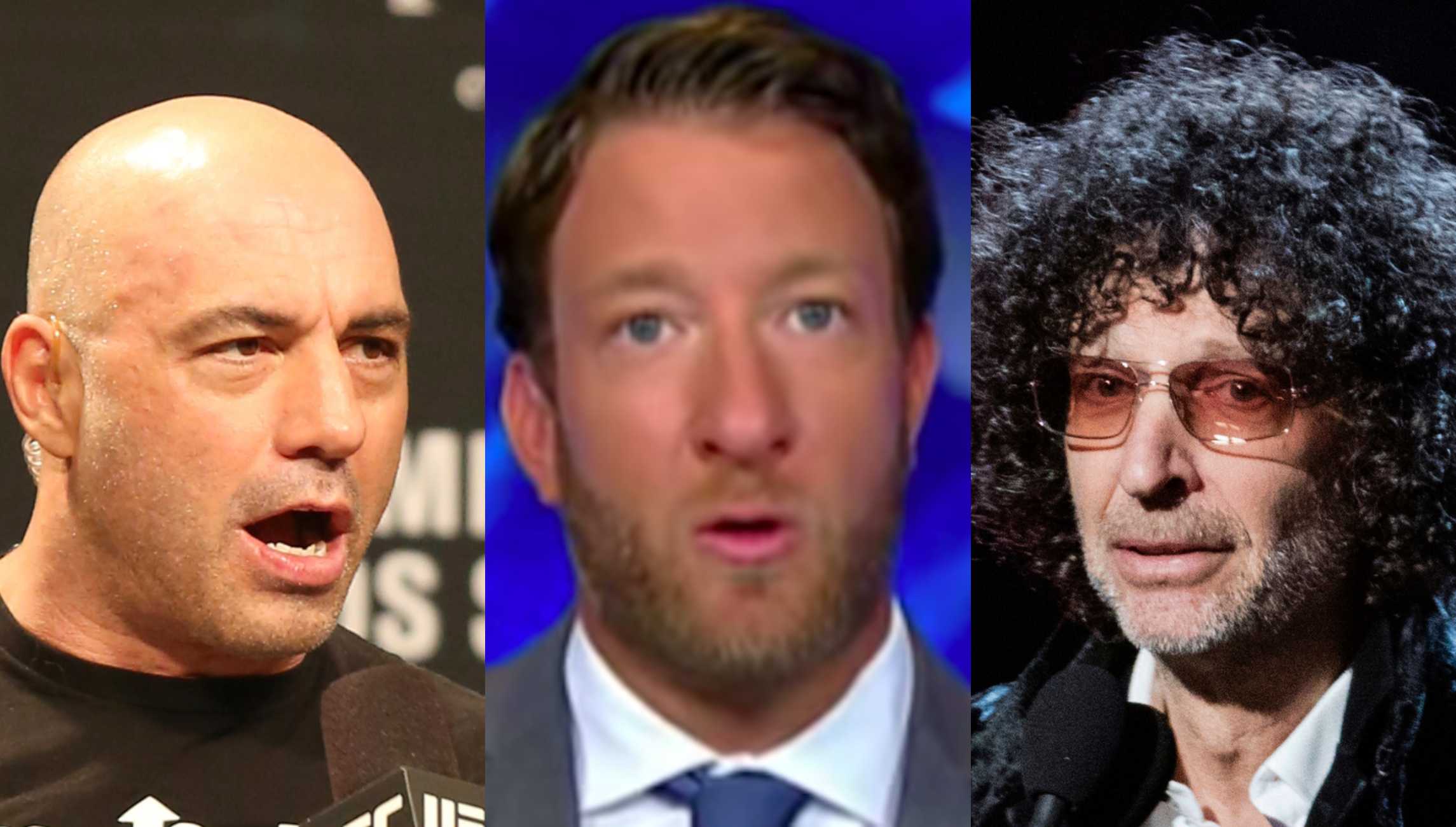 Dave Portnoy defends Joe Rogan from Howard Stern’s ‘hypocritical’ remarks