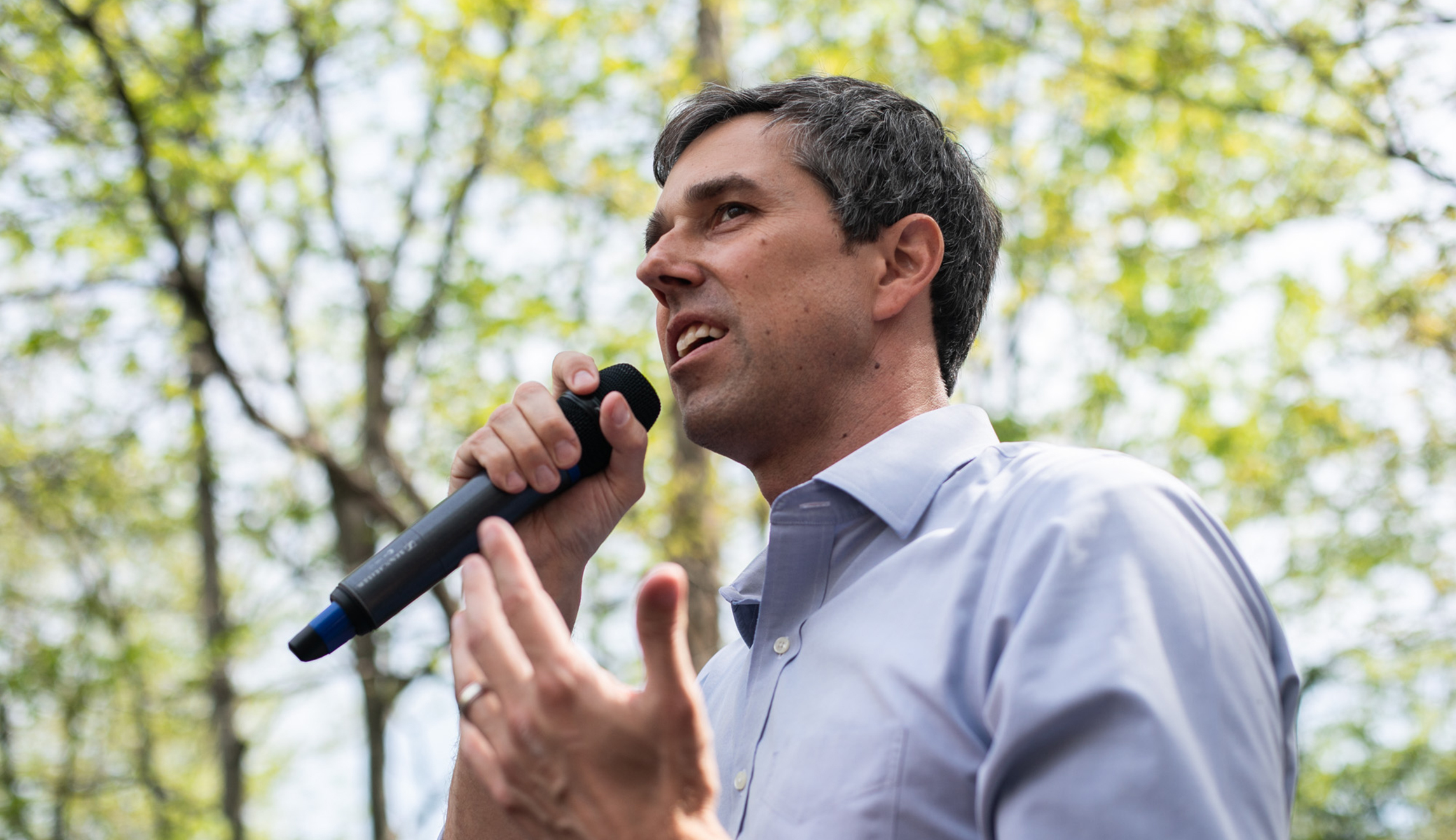 Failed Democrats find refuge in higher education