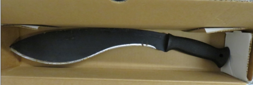 New Year's eve Machete Attack