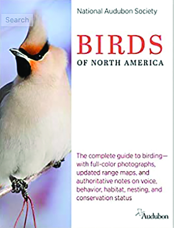 Birds2_051121.jpg