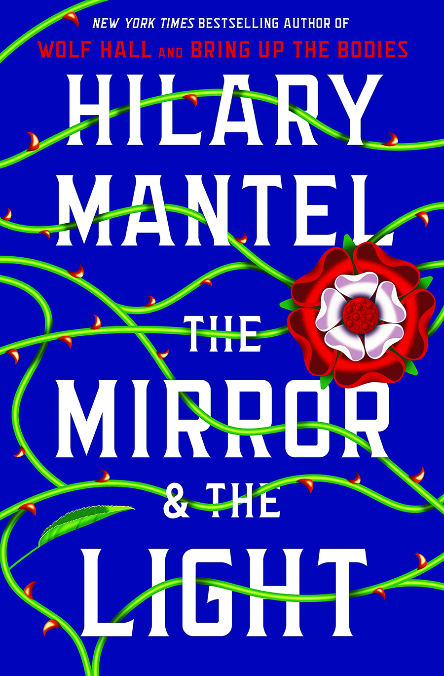 Book_MirrorLight_032420.jpg