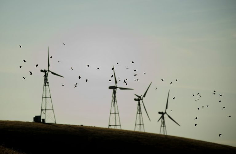 The Obama administration moved a step closer Thursday toward approving a rule that would authorize 30-year permits enabling energy companies with wind farms to kill eagles without penalty. (AP Photo)