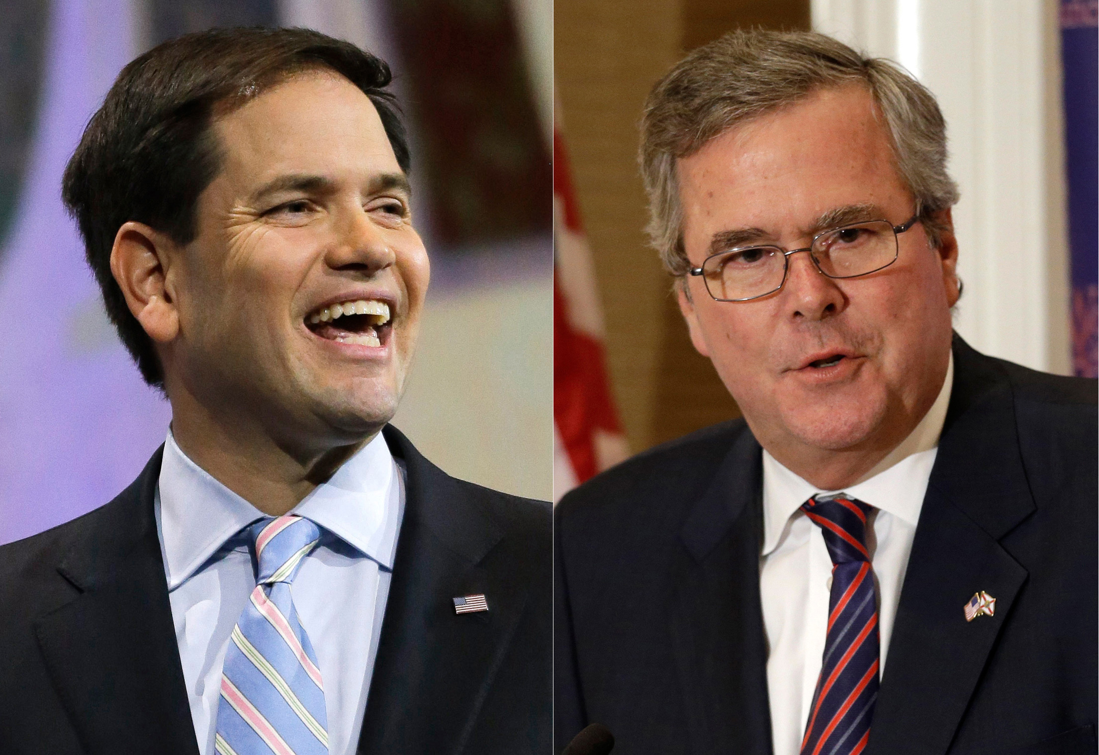 Bush donors eye Rubio