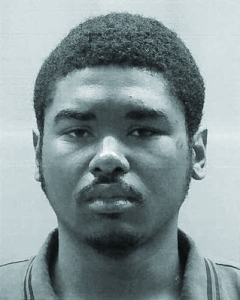 Man who killed puppy with cement block gets jail time