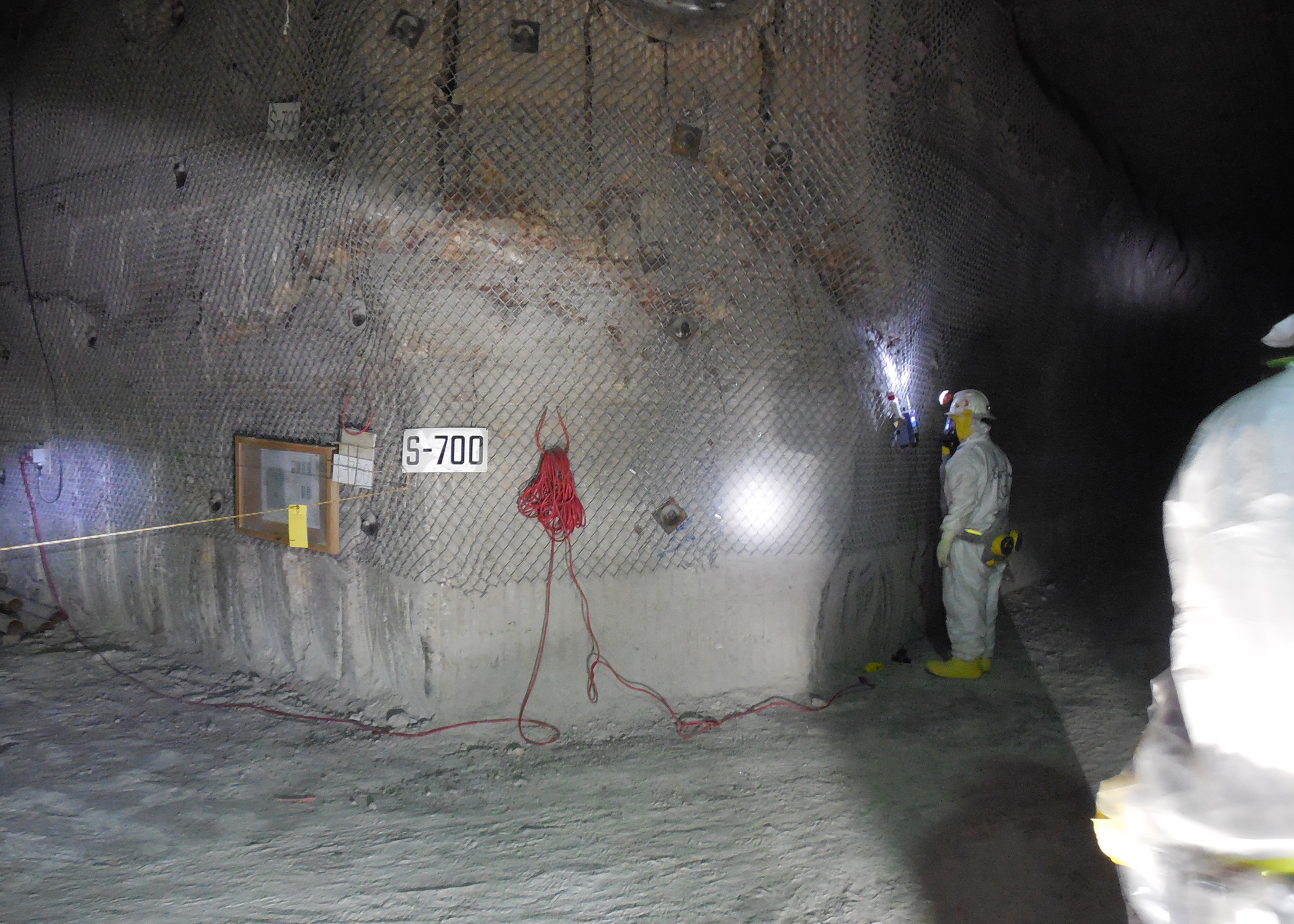 Is cat litter to blame for nuke dump leak?