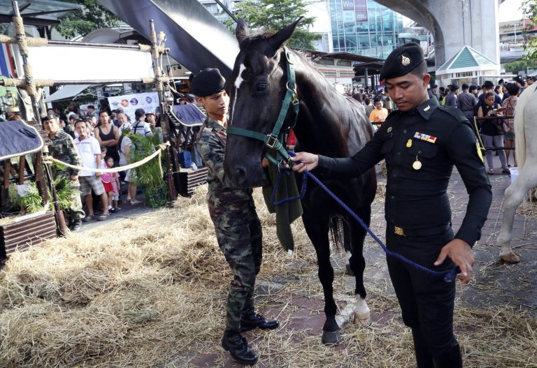 In this June 4, 2014 photo, Thai soldiers hold a horse on display at an event organized by soldiers called 