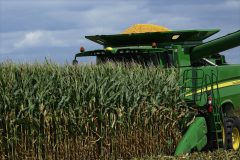 Farmers turn to soybeans over corn as fertilizer prices spike