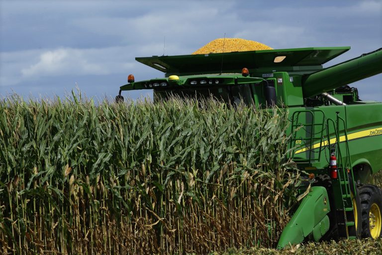 In this Monday, Sept. 1, 2014 photo, a central Illinois corn farmer begins to harvest this years crops of corn in Pleasant Plains, Ill. Wet, cool conditions across much of Illinois have put farmers behind schedule in bringing their corn in from the fields, according to the U.S. Department of Agriculture. (AP Photo/Seth Perlman)