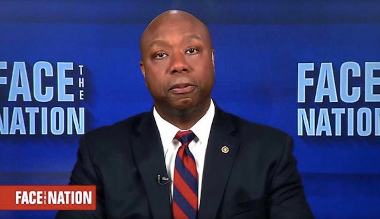 Sen. Tim Scott, R-S.C., on Sunday said there is a system in place to prevent gun violence, it just hasn't been used properly. (screenshot)