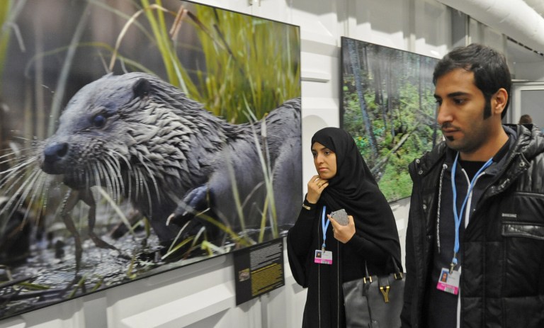 Delegates walk past wildlife photos at the United Nations  Climate Change Conference in Warsaw, Poland, Monday, Nov. 11, 2013. Thousands of participants from nations  and environment organizations from around the world have opened two weeks of U.N. climate talks that are to lay the groundwork for a new pact to prevent global warming. (AP Photo/Alik Keplicz)