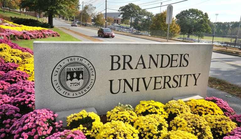 One Brandeis alumnus named Ayelet Schrek has stomped her feet until Brandeis University cancelled a planned theater performance. The play, titled 