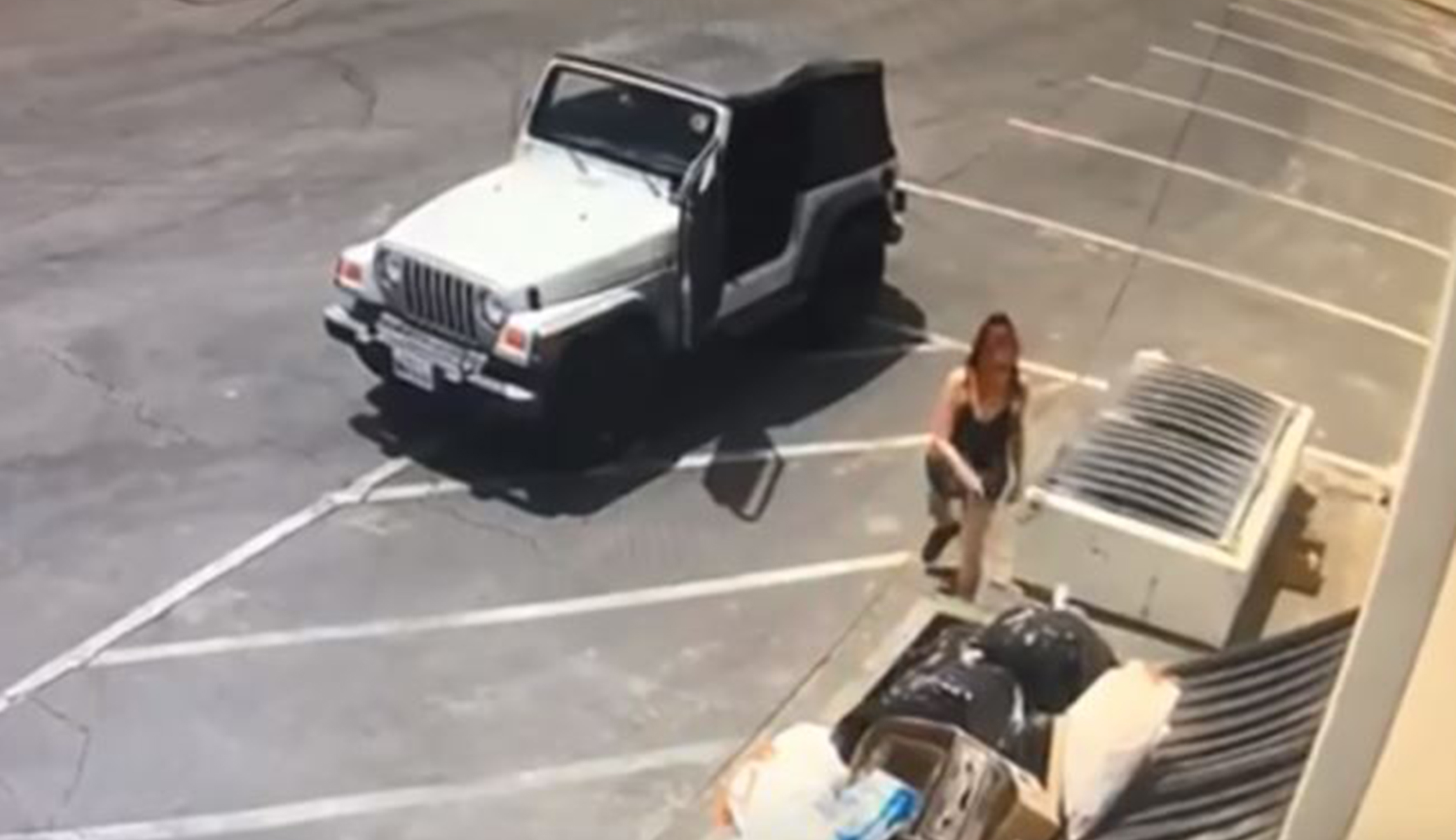 Woman accused of throwing puppies in the trash has been arrested