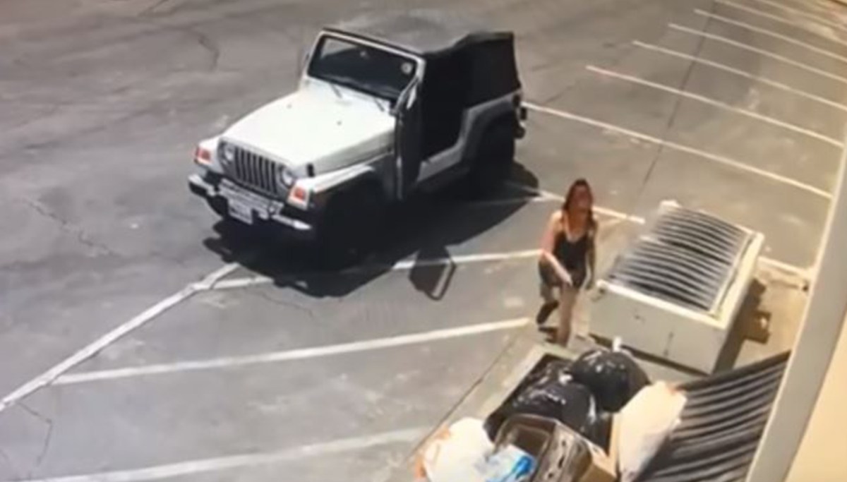 Woman accused of throwing puppies in the trash has been arrested