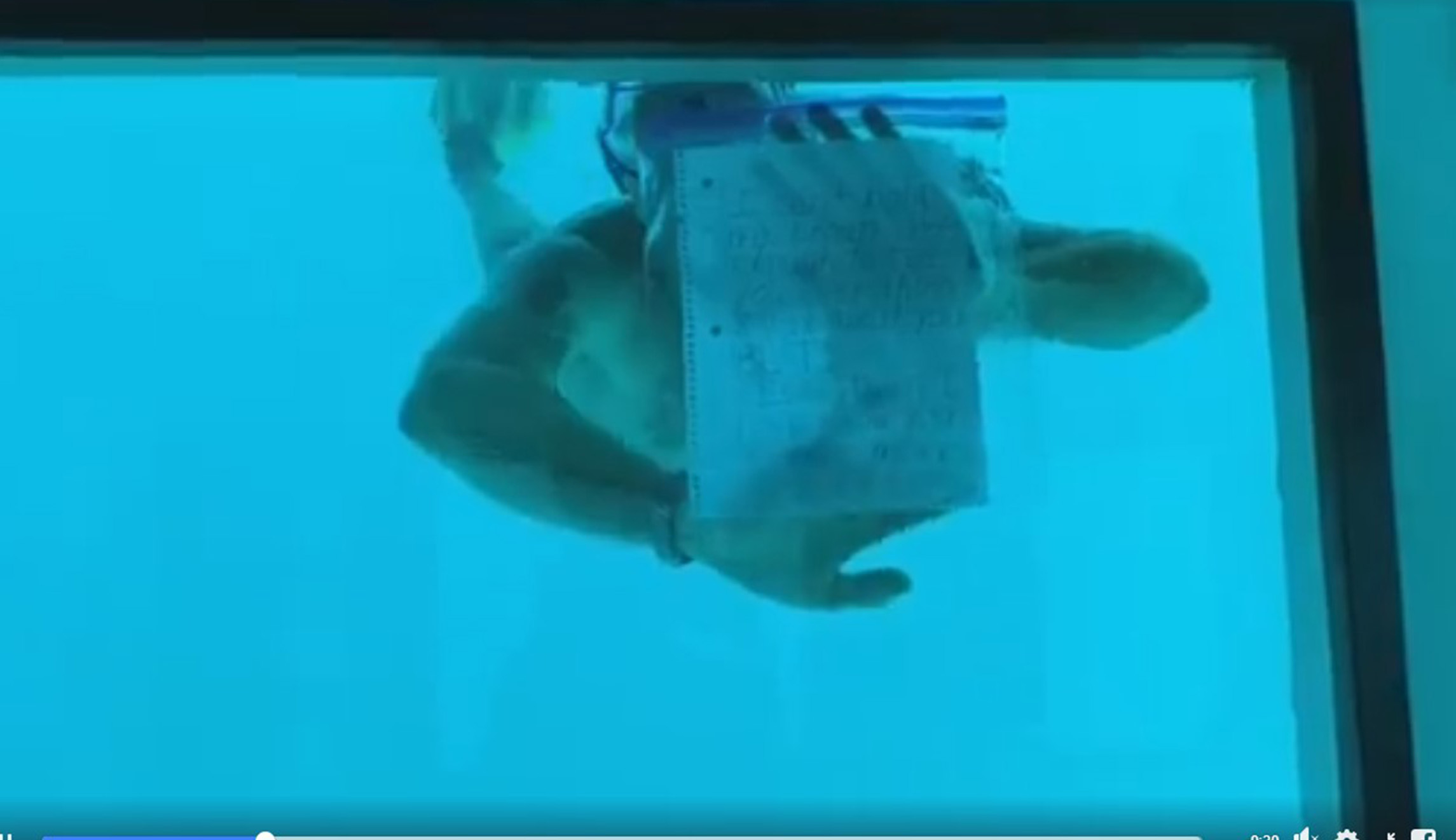 Man dies in underwater marriage proposal before girlfriend could say ‘yes’