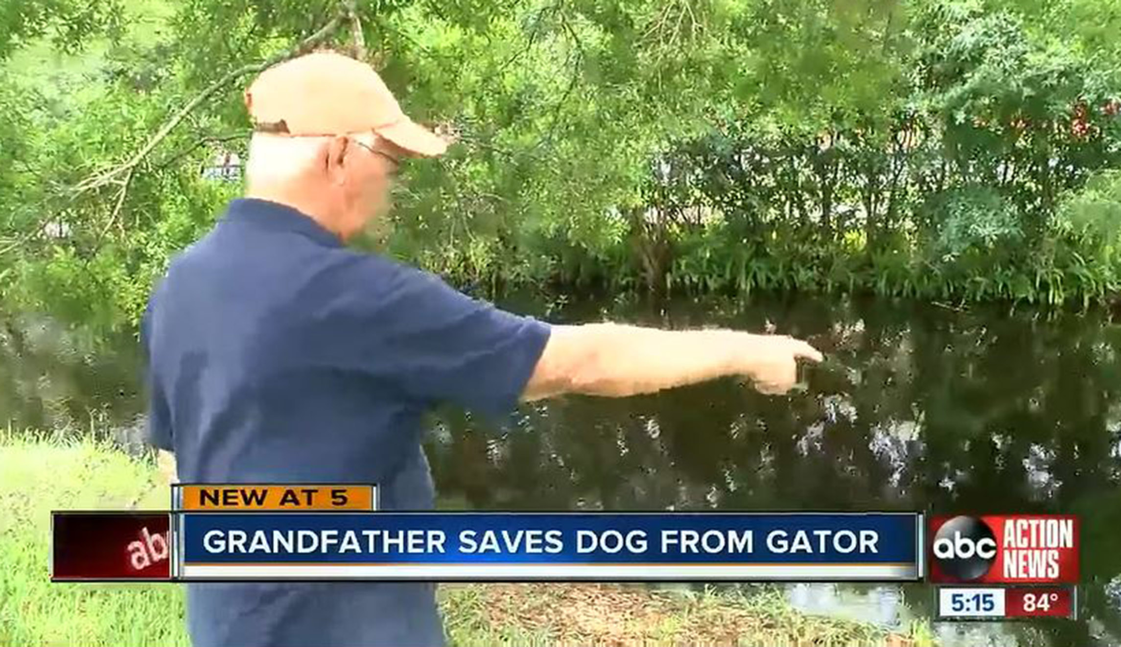 75-year-old Florida man rescues dog from alligator by kicking it