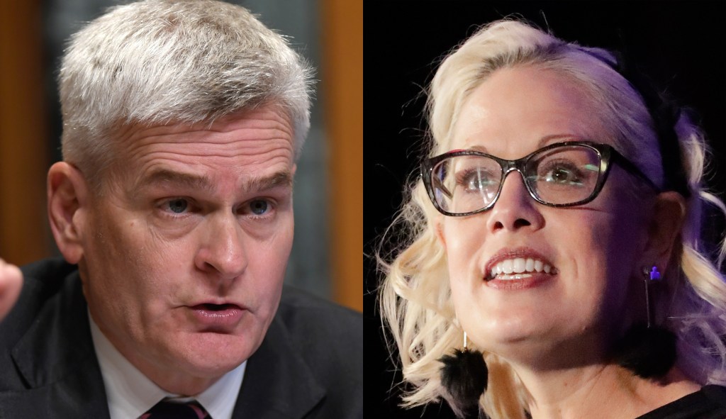 Cassidy and Sinema team up for first bipartisan paid parental leave plan