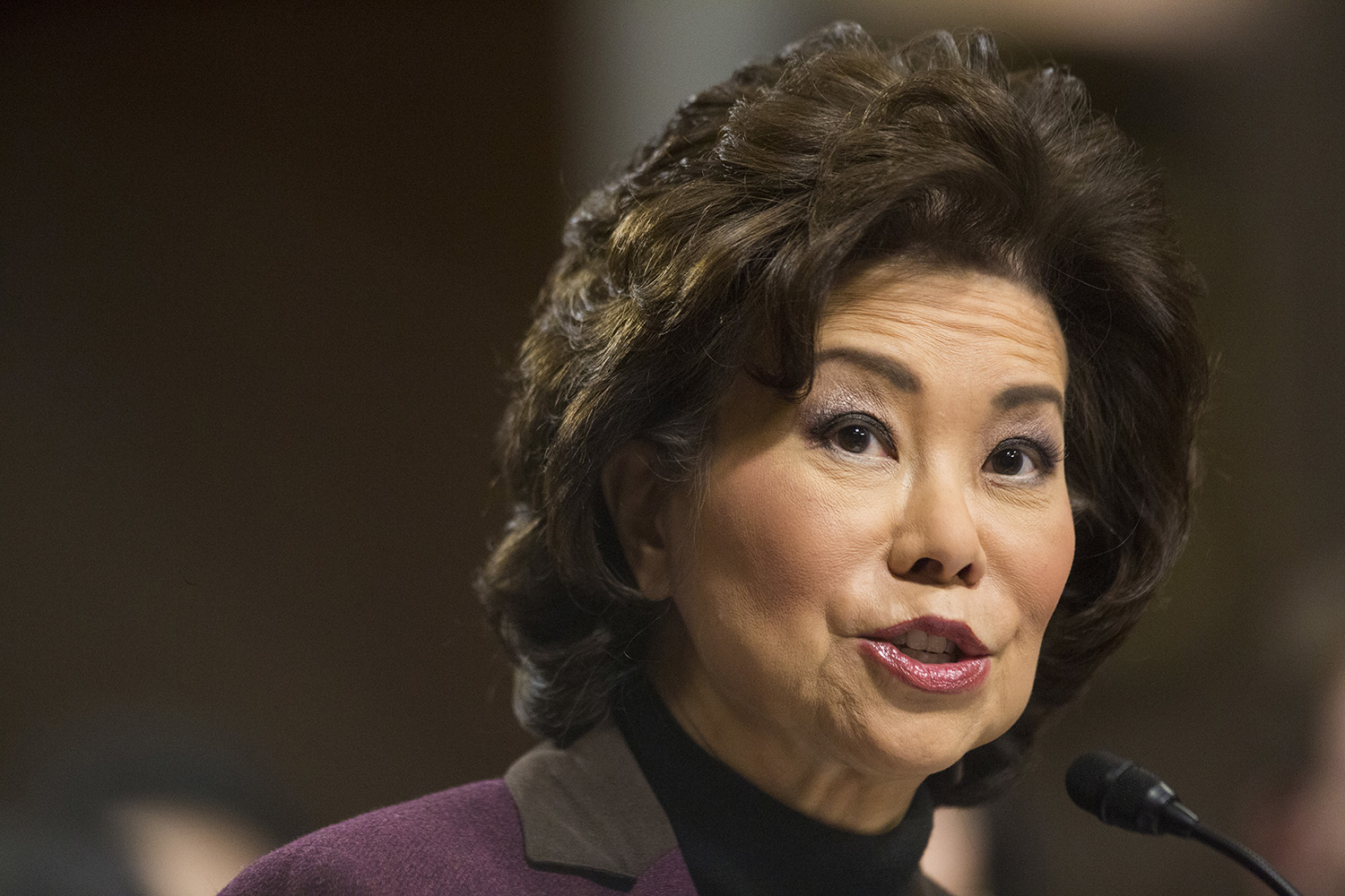 Chao: Trump has no position yet on privatizating air traffic control
