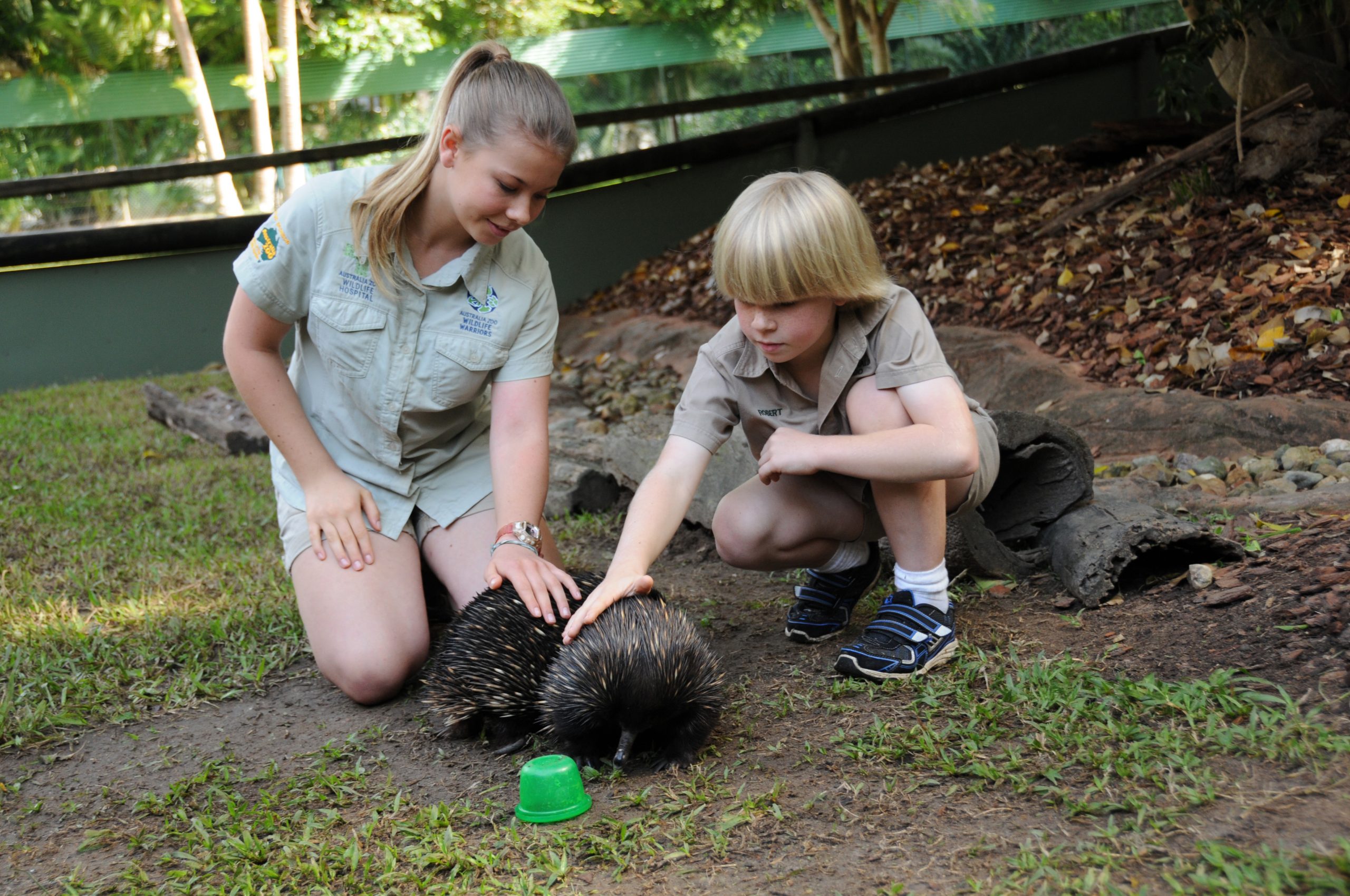 ‘Growing Up Wild’ tops pet YouTube lineup