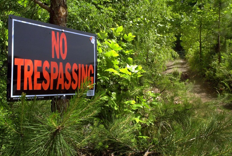 (AP Photo/Alan Marler)