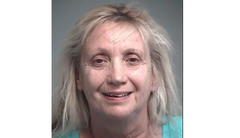 This booking photo provided by Lake County Sheriff's Office shows Cheryl A. Hall.
