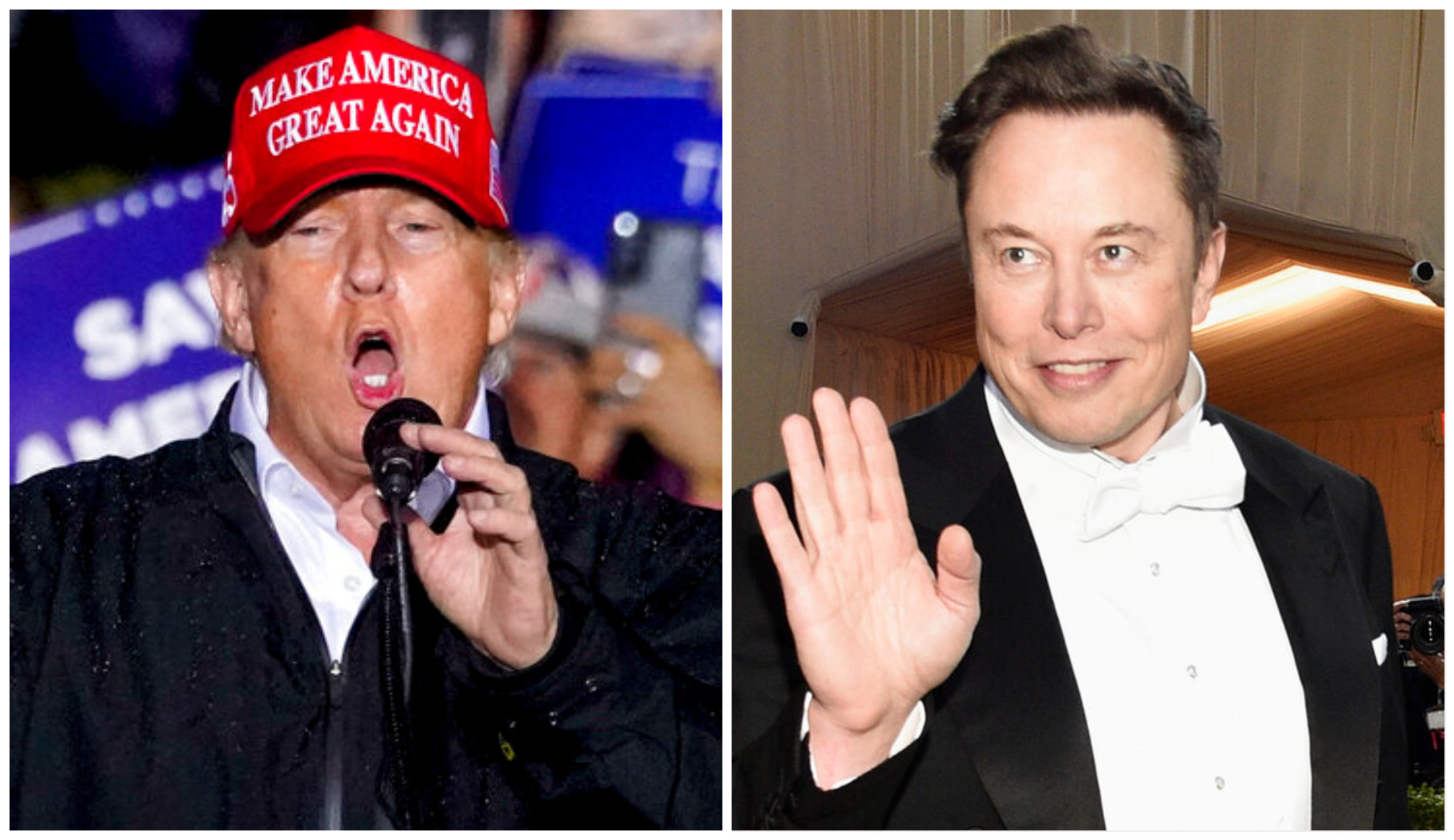 Musk says time for Trump to ‘hang up his hat’ and ‘sail into the sunset’