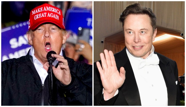 Donald Trump and Elon Musk.