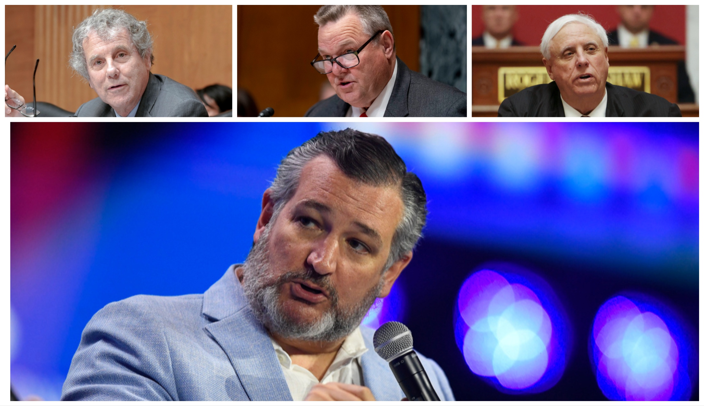 Senate races 2024
