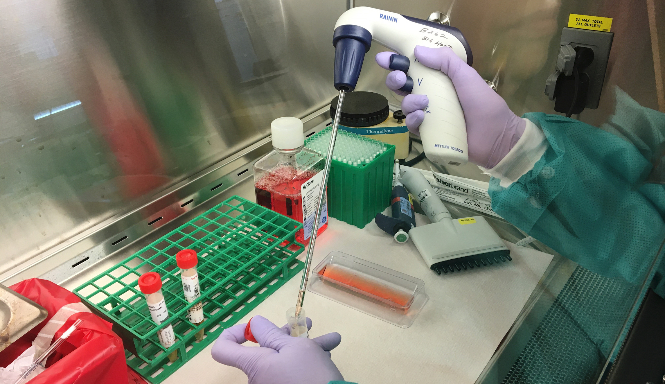 Lockdowns would not have stopped new variant of virus from spreading: Study