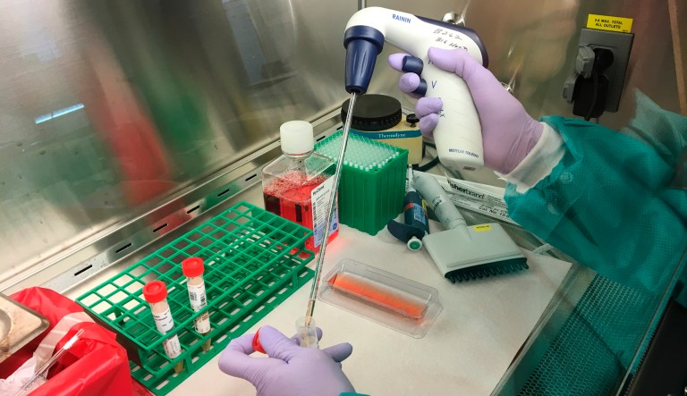 In this Feb. 6, 2020, photo released by the California Department of Public Health, is a demonstration of the equipment and procedures that will be used at the department's Viral and Rickettsial Disease Laboratory lab in Richmond, Calif., to conduct tests for novel coronavirus. This is not an actual test of a novel coronavirus specimen.