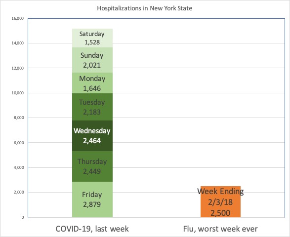 Hospitalizations in New York State