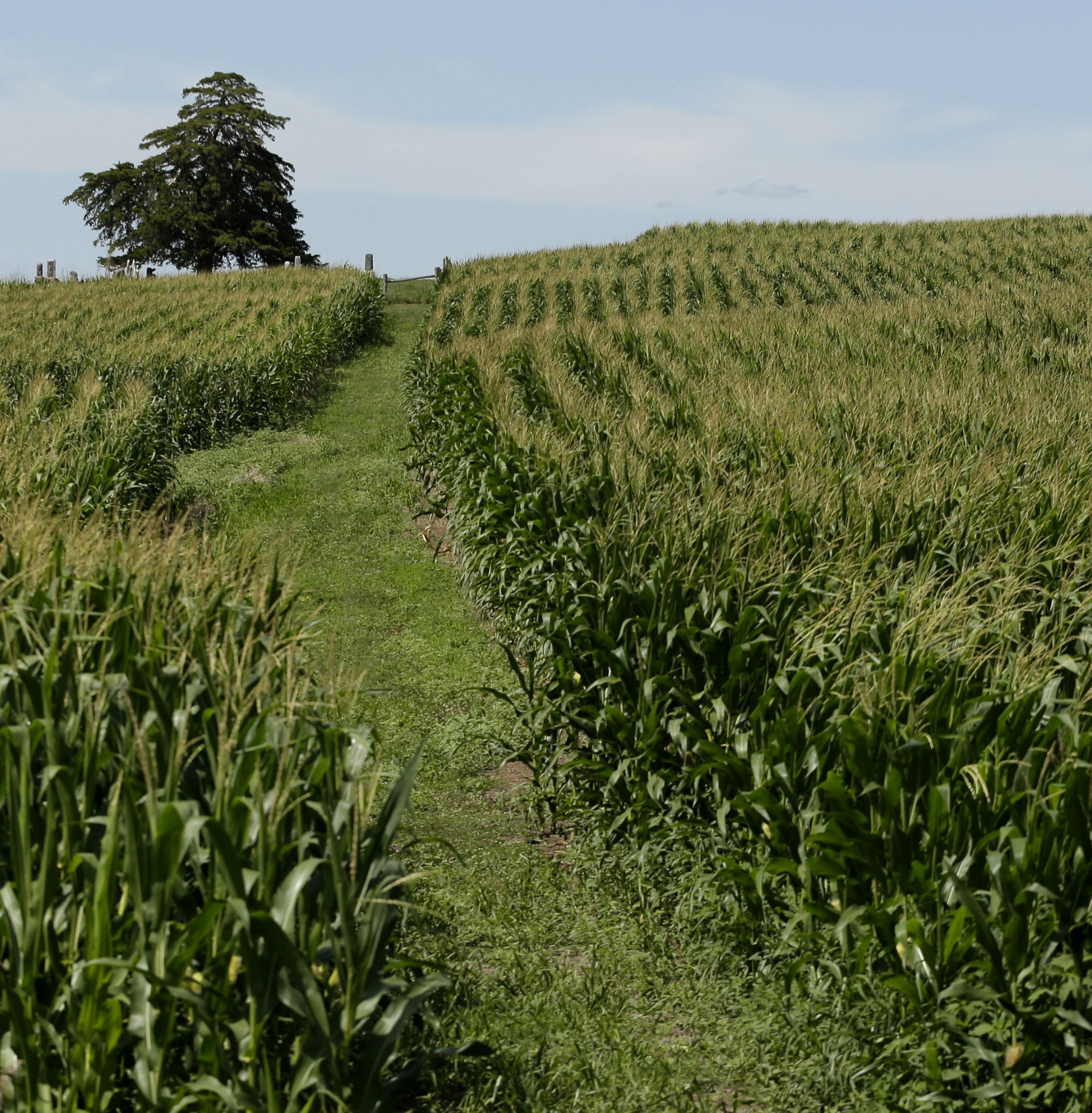 Industry takes aim at AP ethanol investigation