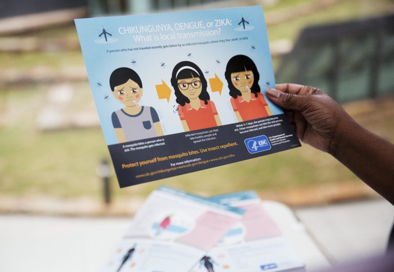 While mosquitoes haven't been spreading the virus yet, public health agencies believe that could change. (AP Photo/David Goldman)