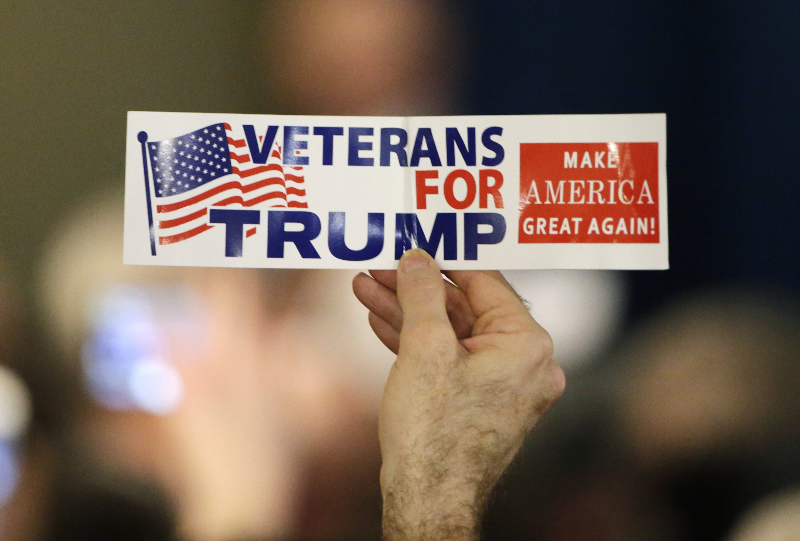 Trump carries double-digit lead among veterans