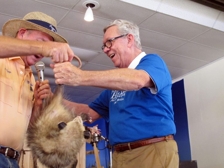 Attorney general candidate George Sheldon holds a possum at the annual Possum Festival on Saturday, Aug. 2, 2014, in Wausau, Fla. What is usually a must-attend event for statewide candidates was notably lacking of them this year. (AP Photo/Brendan Farrington)
