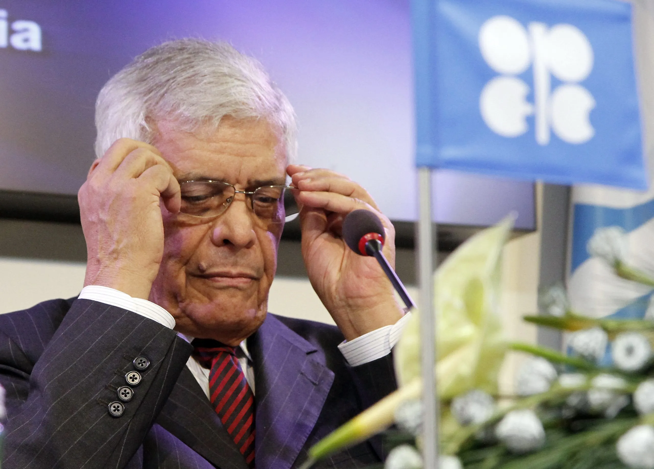 OPEC not concerned about US pickup in oil output