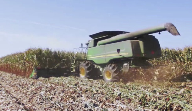 Record: Virginia produces world’s biggest corn harvest