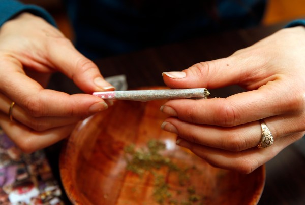 Pro-pot, anti-Trump activists say they face 1960s-level violence