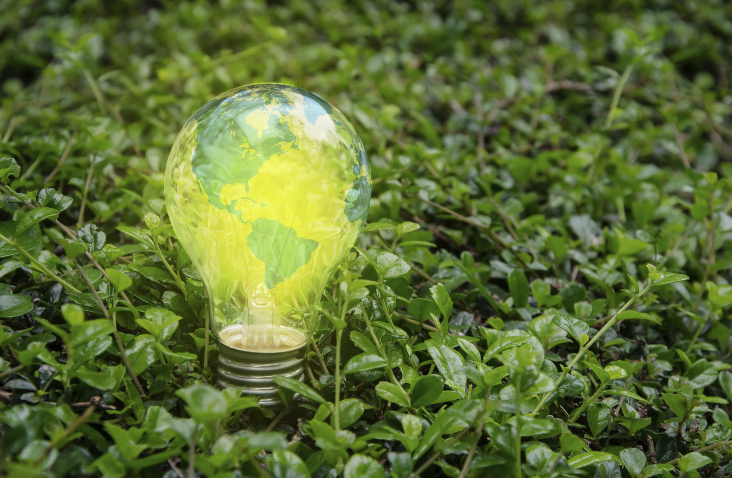 Is the Senate doomed to fail on energy policy?