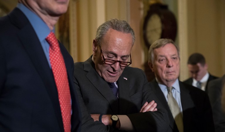 Led by Chuck Schumer, Democrats made explicit calls to liberal activists. (AP Photo/J. Scott Applewhite)