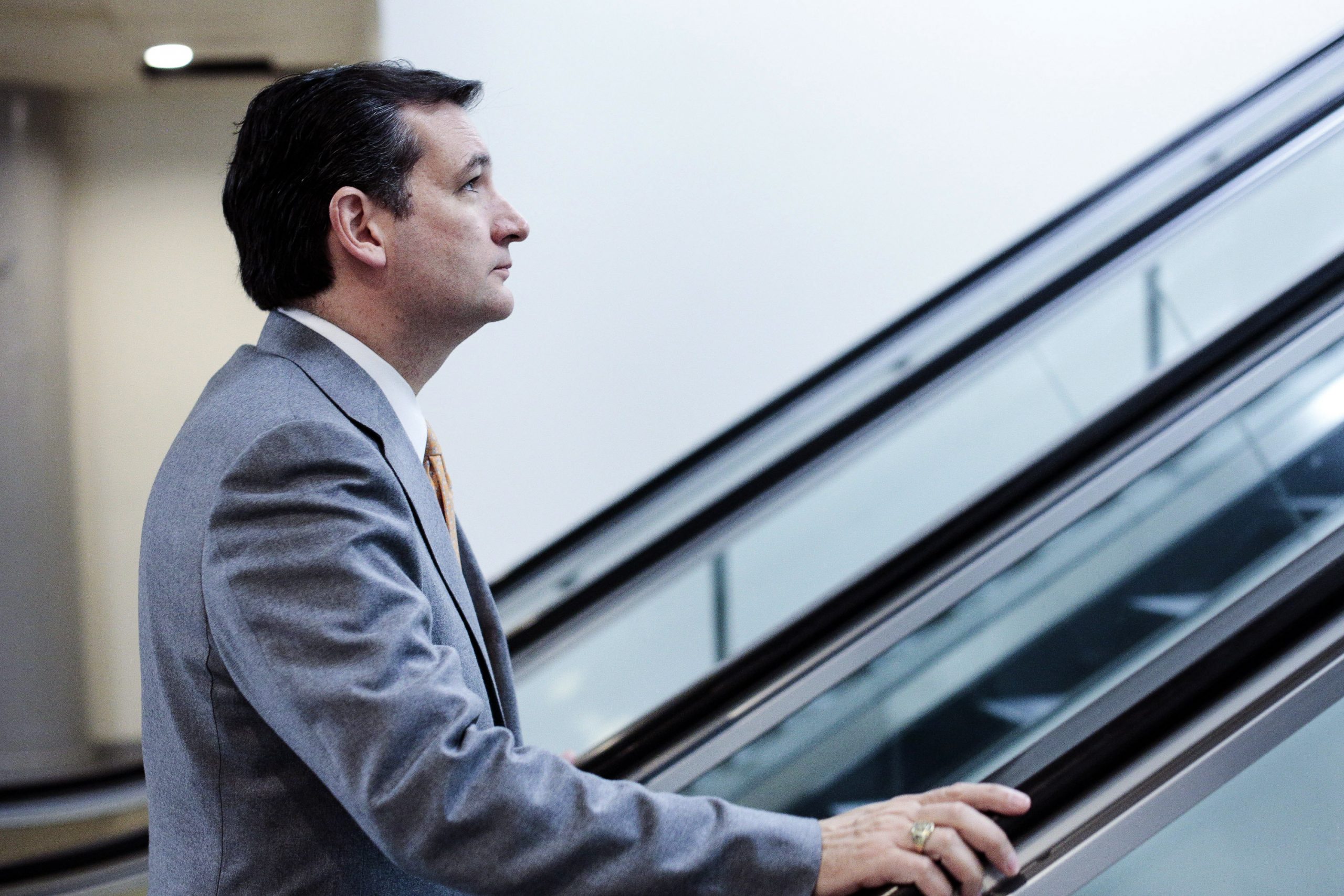 Ted Cruz tries to rid immigration bill of Obamacare tariff on hiring American citizens