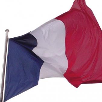 The French Elections